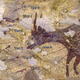A section of the cave painting, showing six human-like figures surrounding an anoa, or dwarf buffalo.